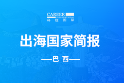 欧付宝欧付GO GLOBAL | 巴西国家简报